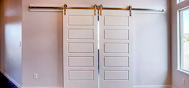 Glass Barn Door with Installation Hardware Kit Avenel